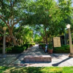 Courtyard view of The Galleria at Civic Center Square
